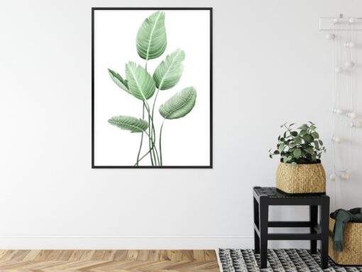 Poster Weiße Strelitzie Rahmen Aluminium Farbe Schwarz