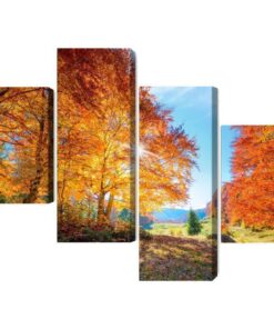 Mehrteiliges Bild Bunte Herbstbäume