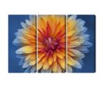 Mehrteiliges Bild Chrysanthemenblume Hautnah 3D