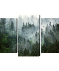 Mehrteiliges Bild Grüner Wald Im Nebel
