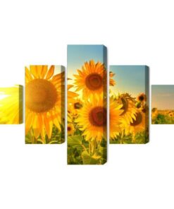 Mehrteiliges Bild Sonnenblumenfeld Bei Sonnenuntergang 3D