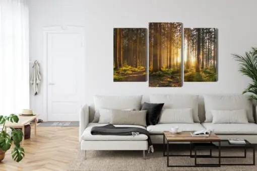 Mehrteiliges Bild Sonnenuntergang Im Wald