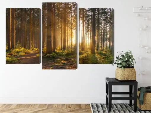 Mehrteiliges Bild Sonnenuntergang Im Wald