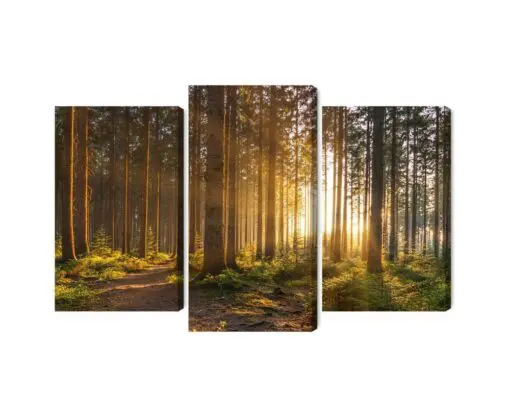 Mehrteiliges Bild Sonnenuntergang Im Wald